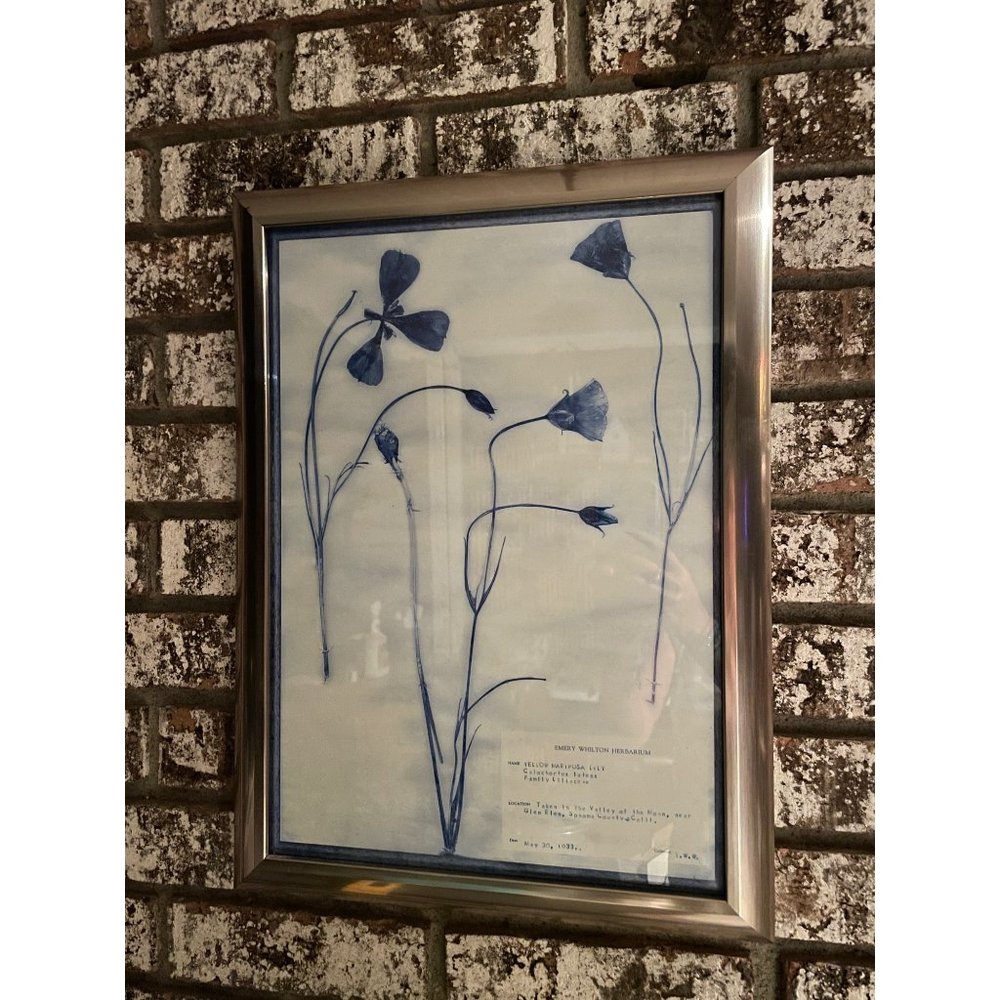 Blue and White Modern Classic Botanical Flower Framed Wall Art of Lily 1933